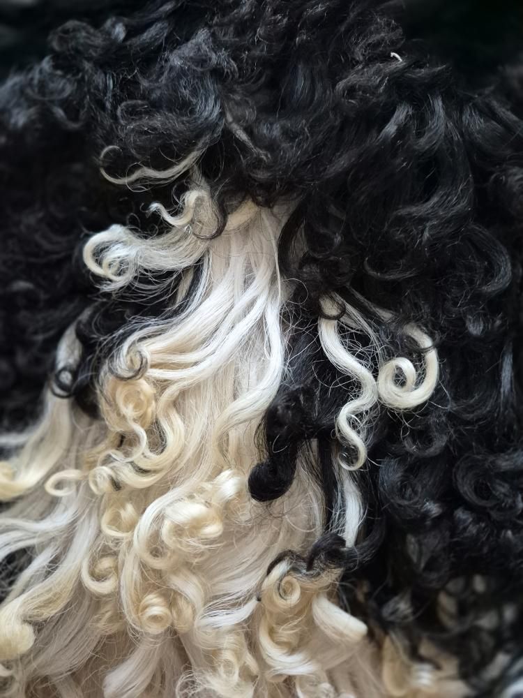 Lammskinn - Svart & vit (Nr 228)