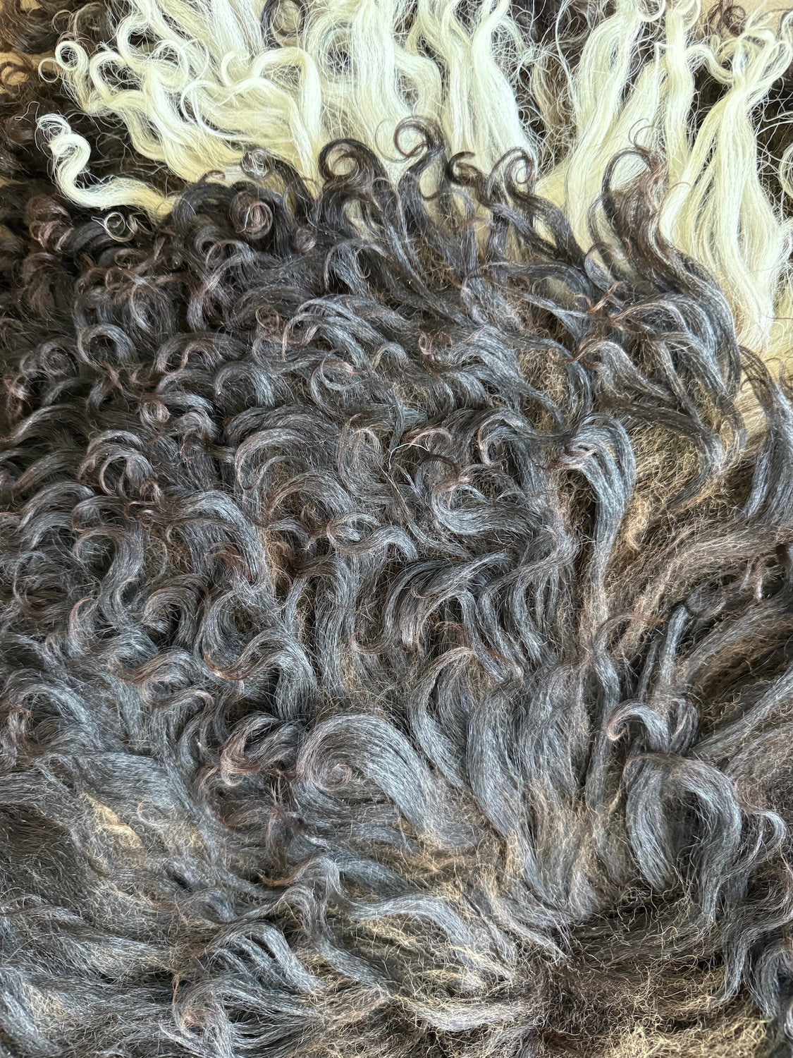 Lammskinn - Svart & Lockigt (Nr115)