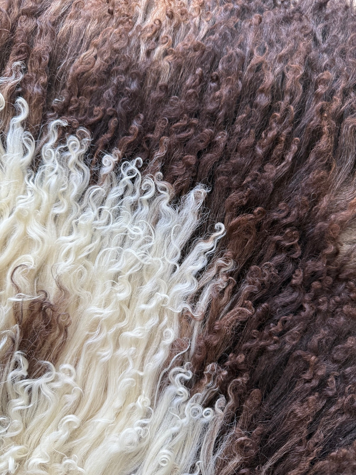 Mörkbrunt Lammskinn - VÄgigt Ull (Nr117)