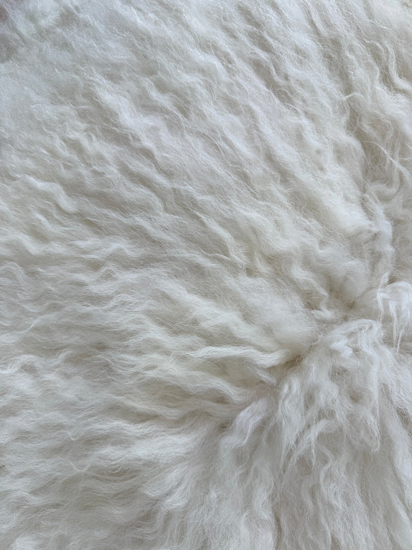 Lammskinn Vitt - Kortklippt & VÄgigt Ull (Nr118)