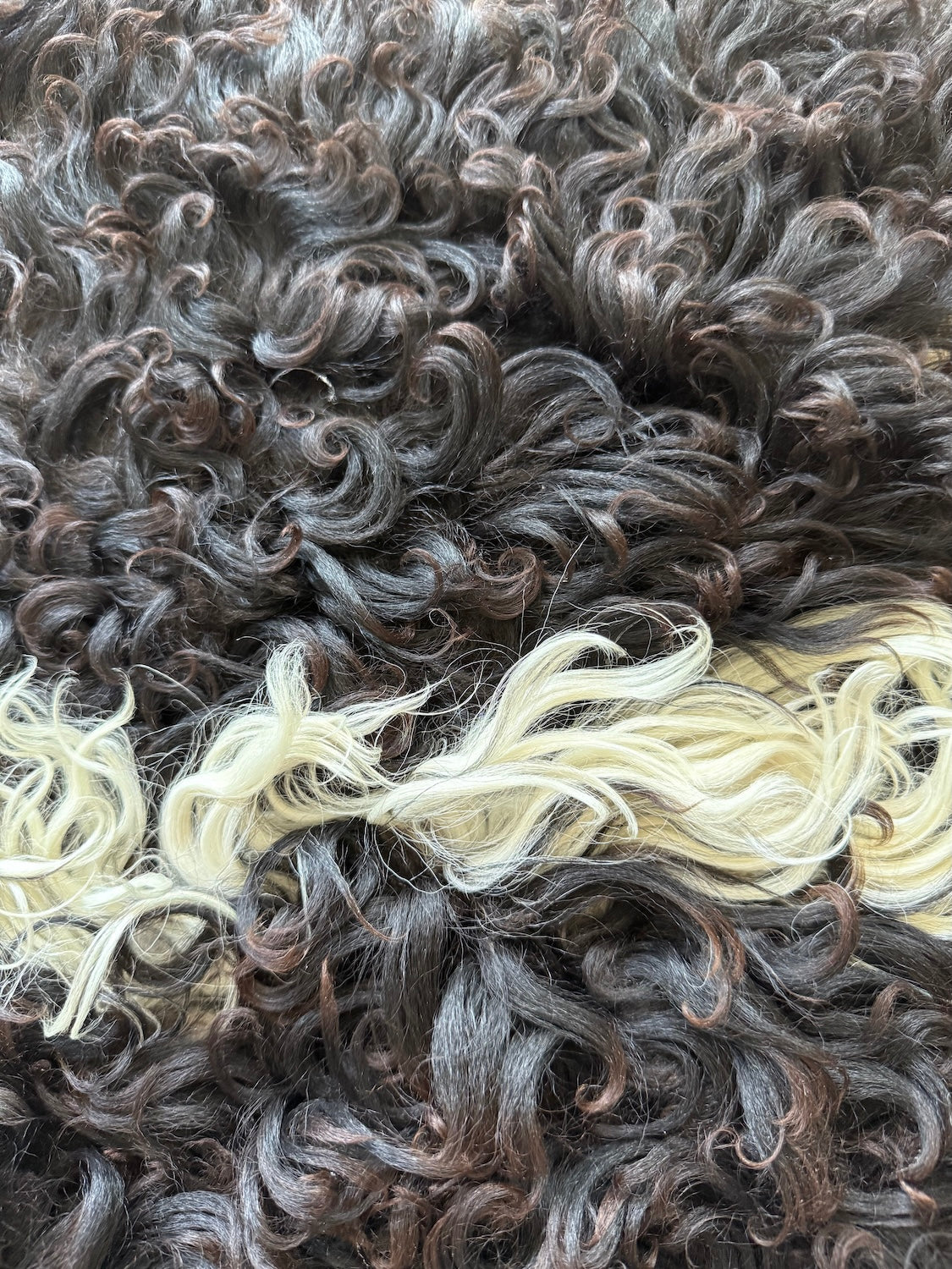 Lammskinn Mönstrat - Svart & Vitt med Lockigt Ull (Nr119)