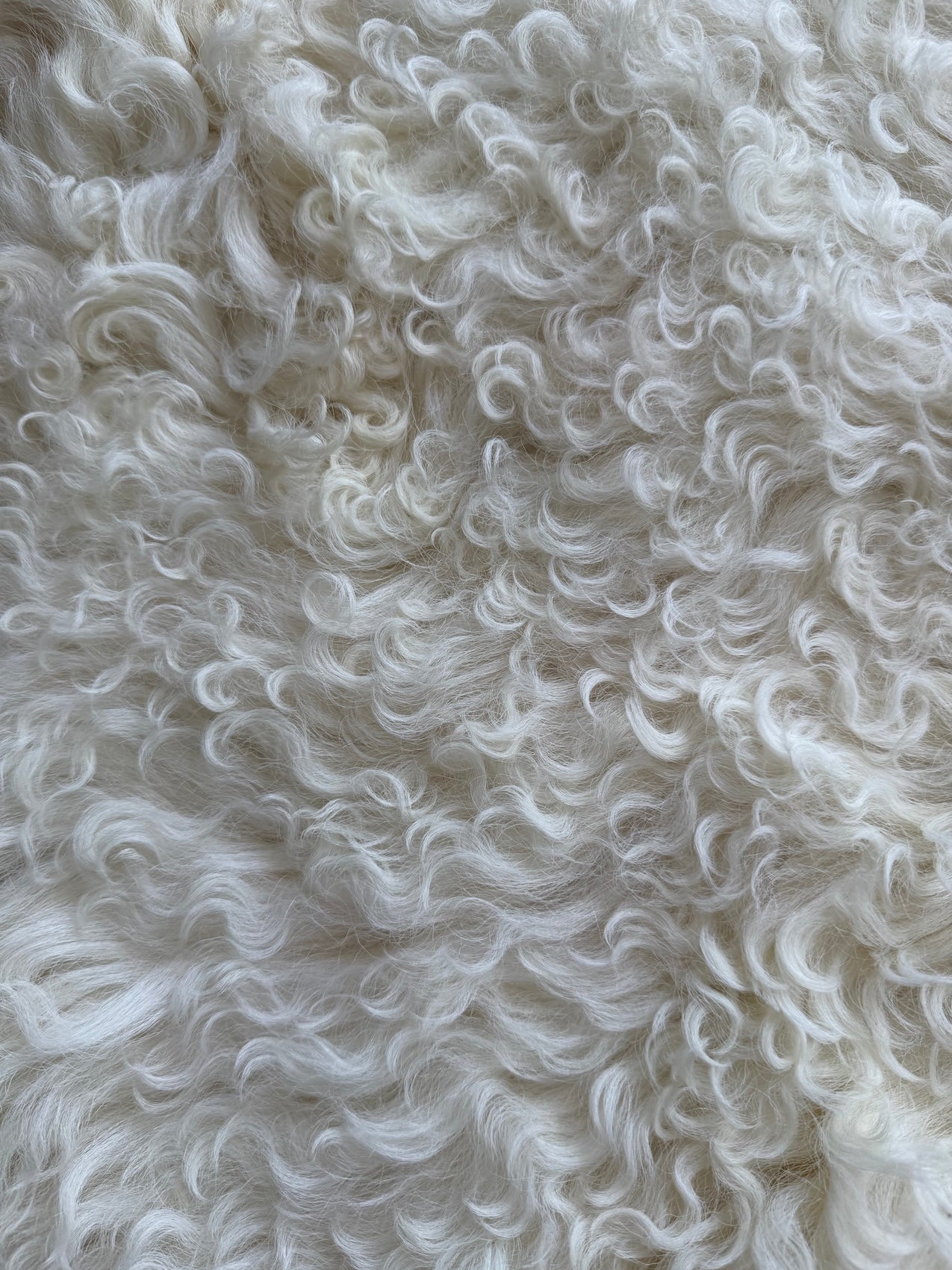 Lammskinn - Vitt med Svarta Inslag och VÄgigt Ull (Nr121)