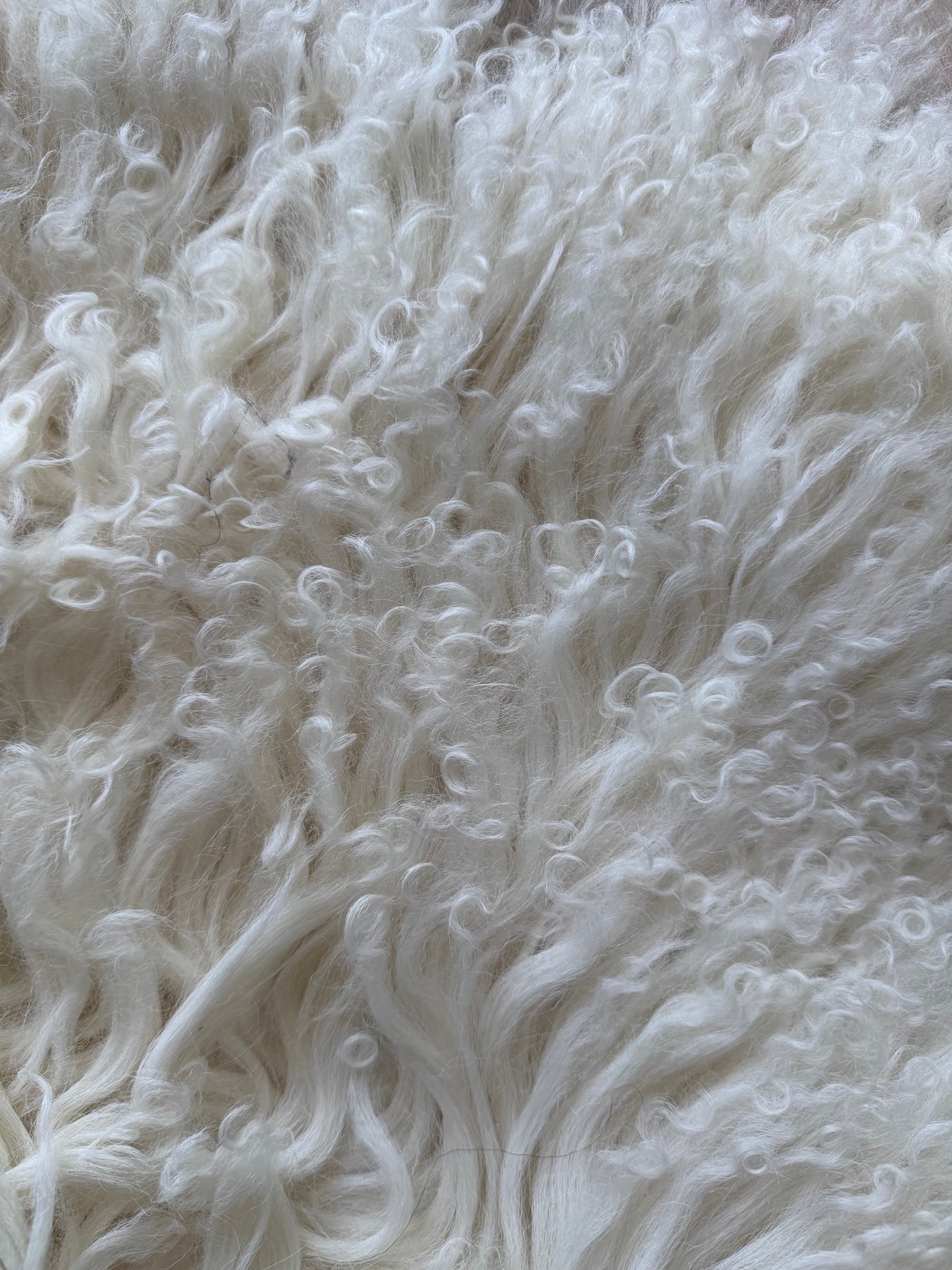 Vitt lammskinn med lĂ„ng Ull â Silkeslent och Naturligt (Nr124)