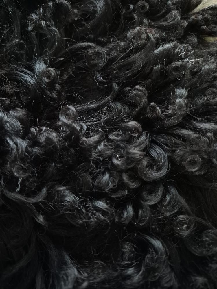 Lammskinn - Svart & vit (Nr 228)