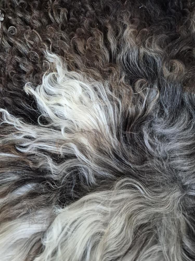 Lammskinn - Mörkbrun & Lockig (Nr 239)