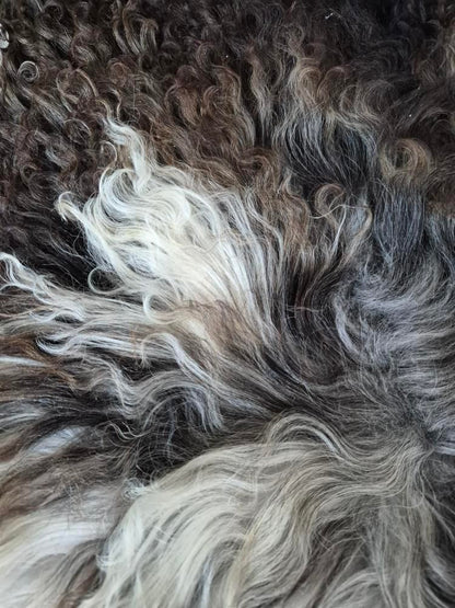 Lammskinn - Mörkbrun & Lockig (Nr 239)