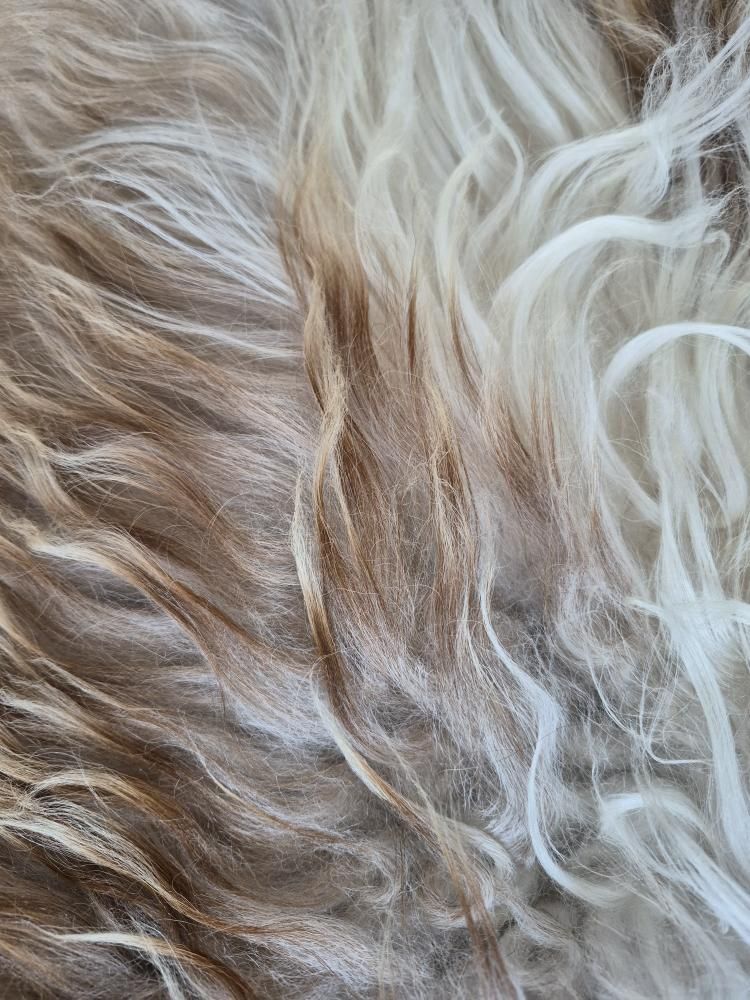 Lammskinn - Naturvit & ljusbrunt  (Nr 271)