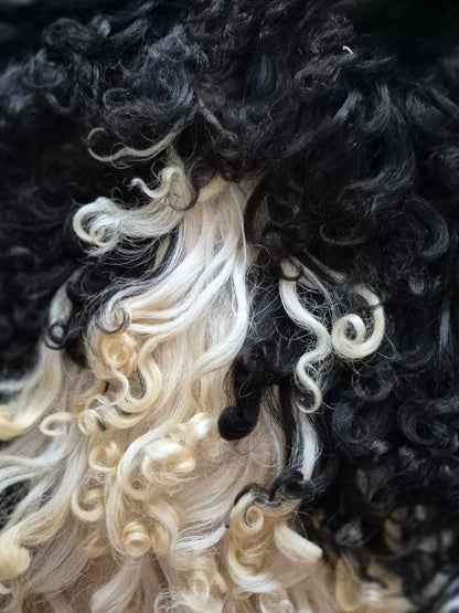 Lammskinn - Svart & vit (Nr 228)