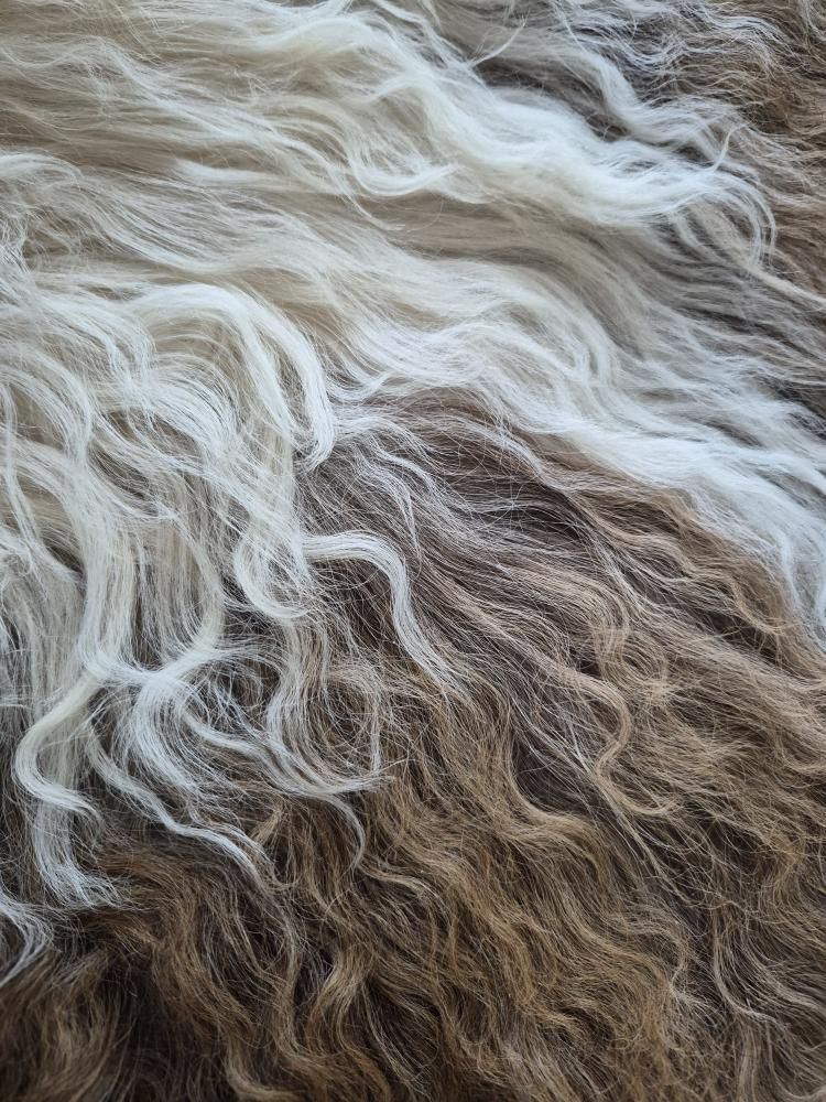 Lammskinn - Ljusbrun & natur vit (Nr 288)