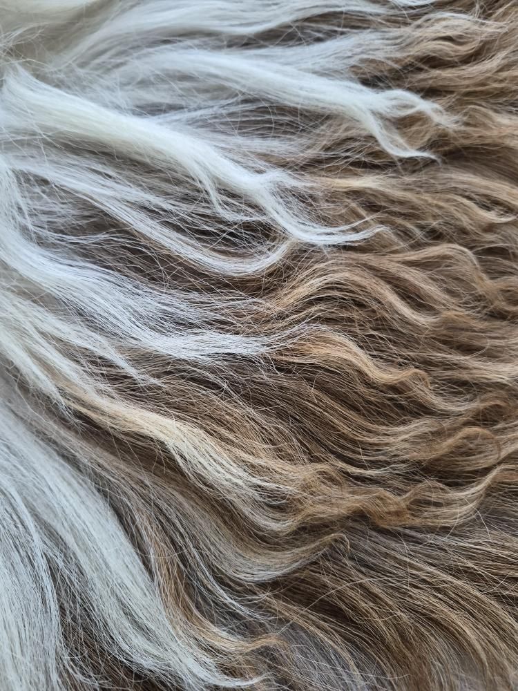 Lammskinn - Naturvit  & ljusbrun (Nr 276)