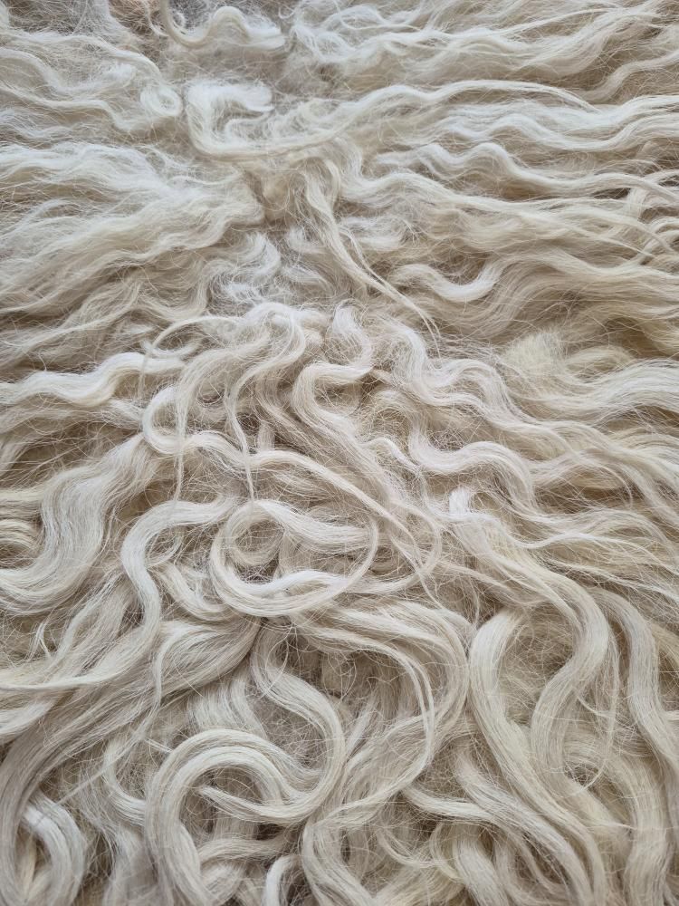 Lammskinn - Naturvit & Lockig (Nr 285)