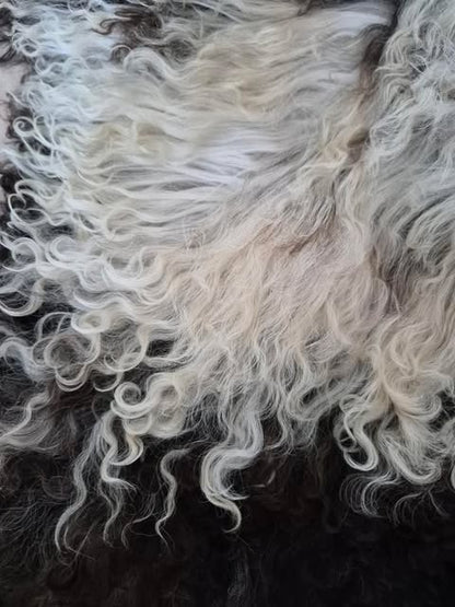 Lammskinn - Mörkbrun & Lockig (Nr 239)