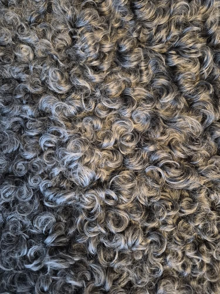 Lammskinn - Gotlandsfår (Nr 259)